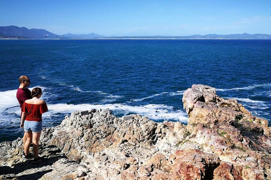 From Cape Town: 3-Day Garden Route Safari and Coastal Tour - Route 62, mountain passes, and wine tasting