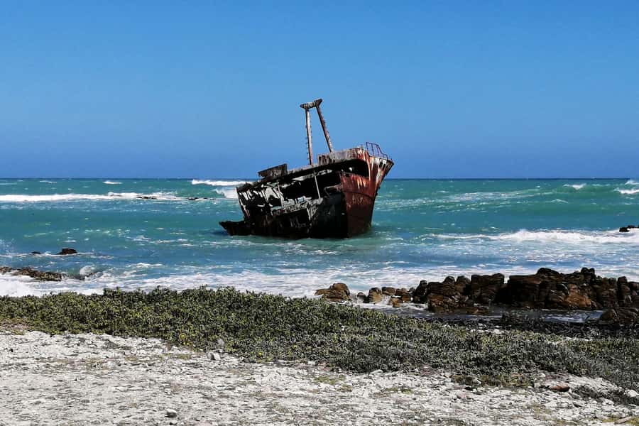 From Cape Town: 3-Day Garden Route Safari and Coastal Tour - The guides make or break the experience