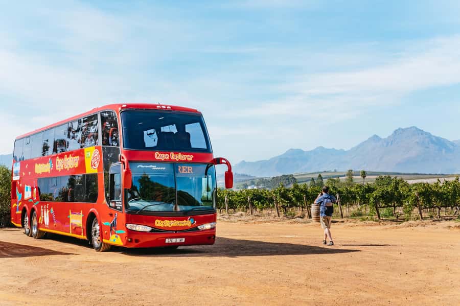 From Cape Town: 3 Regions Wine Tour with 3 Estates, 15 Wines - First stop: Stellenbosch wine, cheese, and cellar work