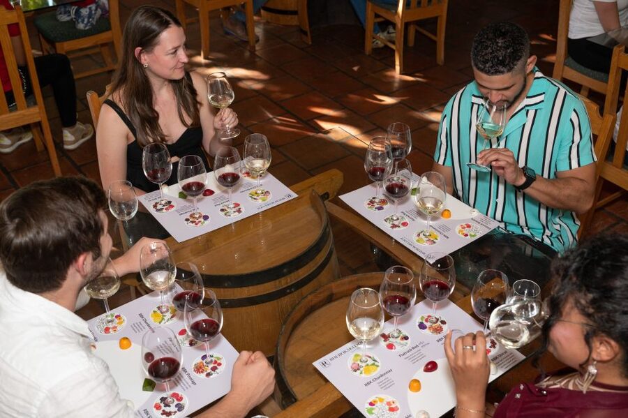 From Cape Town: 3 Regions Wine Tour with 3 Estates, 15 Wines - The Franschhoek estate and a sensible lunch break