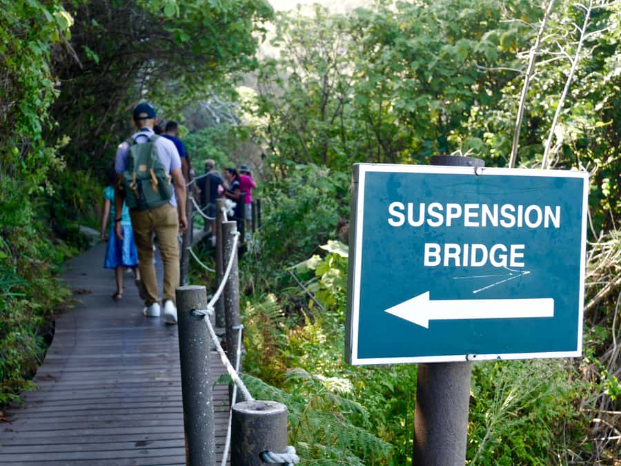 From Cape Town: 5-Day Best of Garden Route and Addo Safari - Five details that shape this Garden Route trip