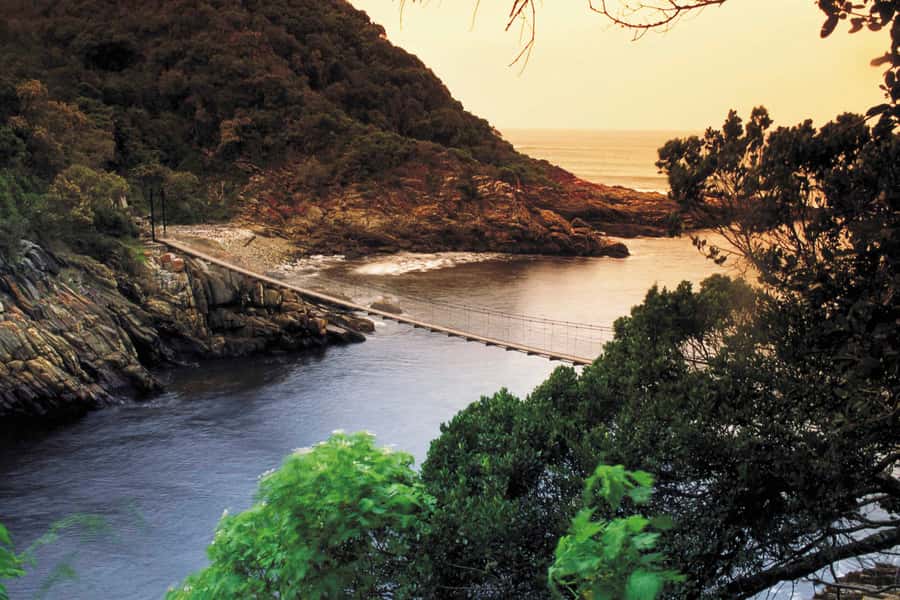 From Cape Town: 5-Day Best of Garden Route and Addo Safari - Route 62 gives day one a scenic start