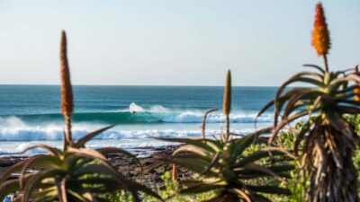 5-Day Best of Garden Route and Addo Safari
