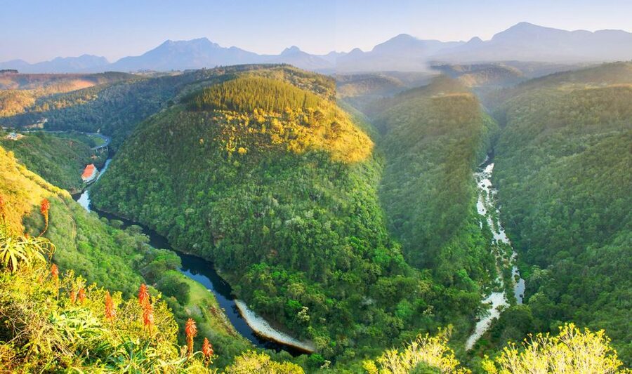 From Cape Town: 5-Day Best of Garden Route and Addo Safari - Tsitsikamma mixes forest, bridges, and adrenaline