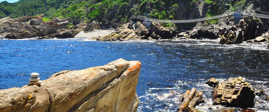 From Cape Town: 5-Day Best of Garden Route and Addo Safari - The guide can make or break the long drives