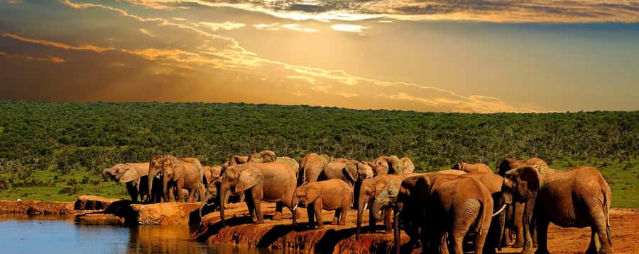 From Cape Town: 5-Day Garden Route & Addo Elephant Park Tour - Key points to know before booking