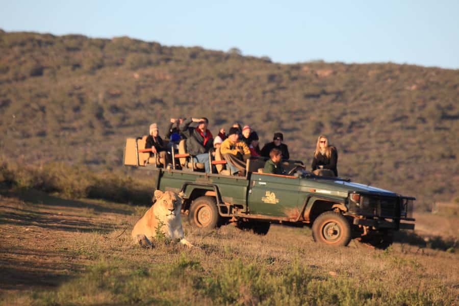 From Cape Town: 5-Day Garden Route & Addo Elephant Park Tour - Day two: From the Little Karoo to Knysna