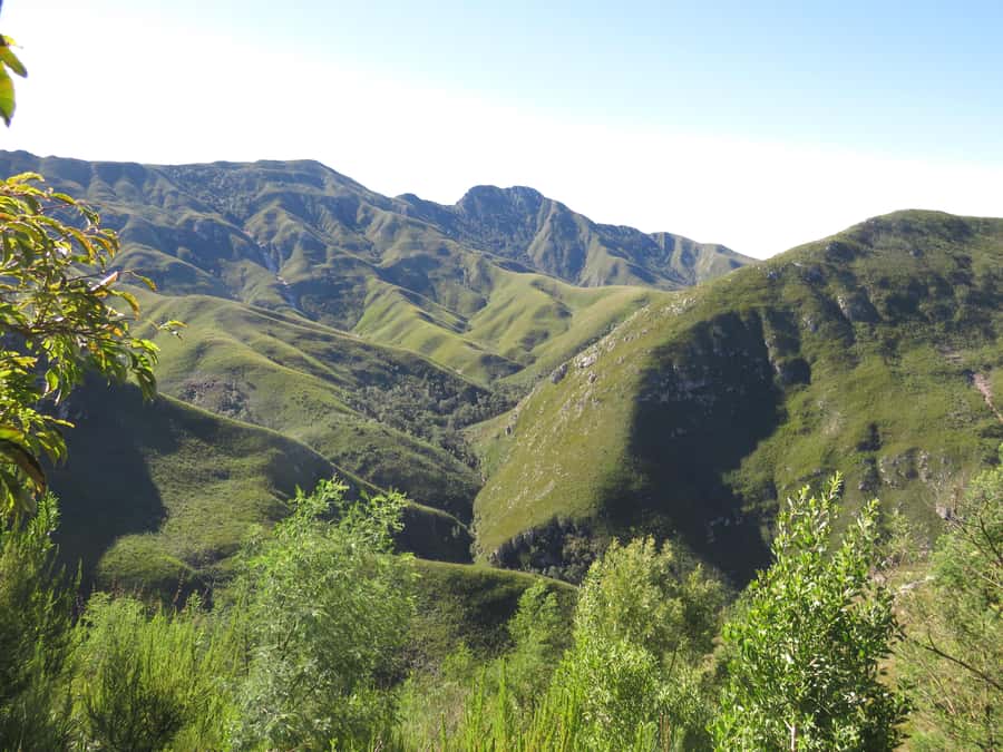 From Cape Town: 5-Day Garden Route & Addo Elephant Park Tour - Day five: Early animals, Hermanus, and False Bay
