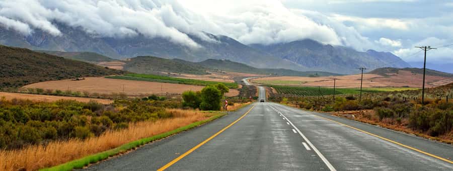 From Cape Town: 7-Day Garden Route, Addo and Winelands Combo - Key points to know before booking