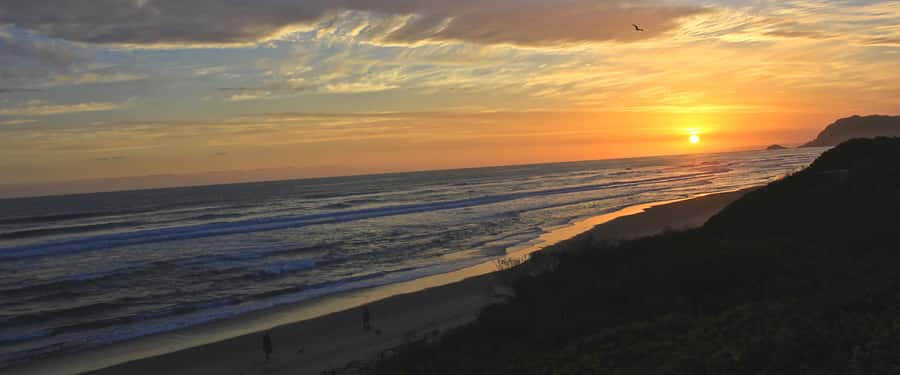 From Cape Town: 7-Day Garden Route, Addo and Winelands Combo - What this seven-day route is really like