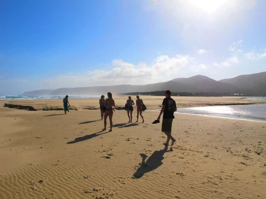 From Cape Town: 7-Day Garden Route, Addo and Winelands Combo - Day seven: the long return and the safari question