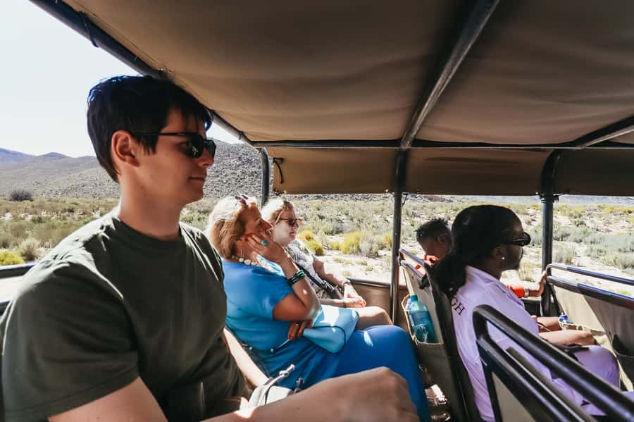 From Cape Town: Big Five Game Reserve with Lunch - Key points to know before you book