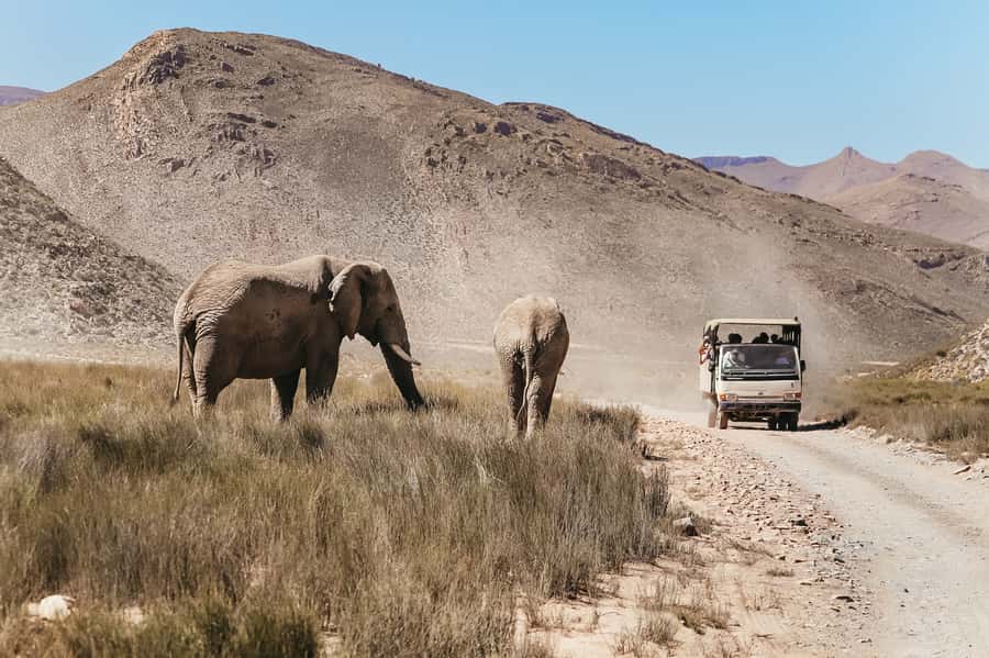 From Cape Town: Big Five Game Reserve with Lunch - What to pack for the ride