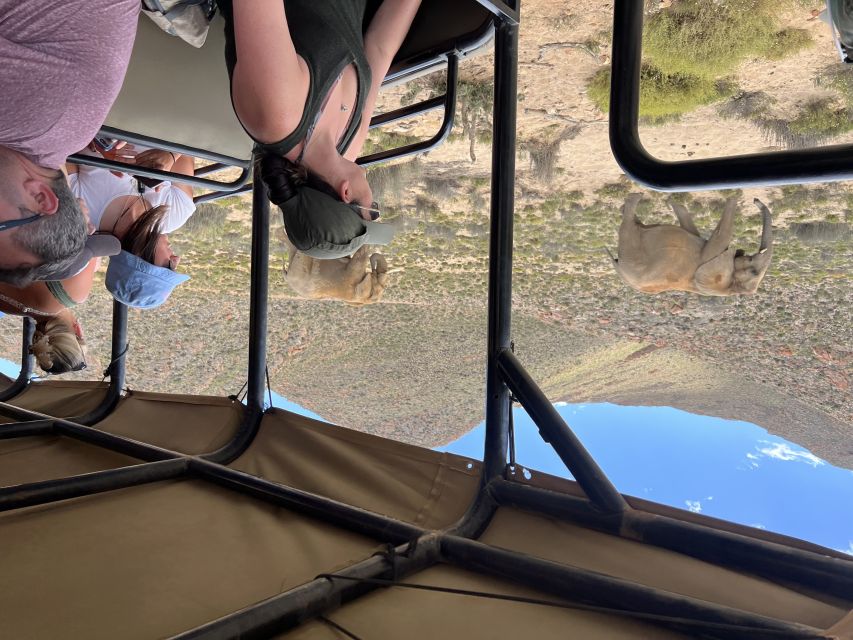 From Cape Town: Big Five Safari Experience with Lunch - The 2.5 to 3 hour open-truck game drive