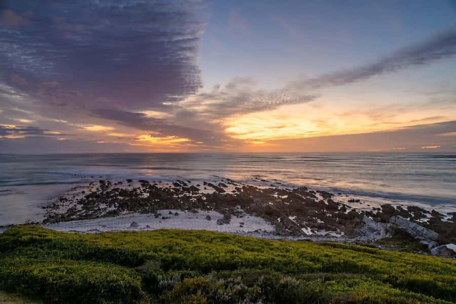 From Cape Town: Cape Agulhas, Penguins, Wine Tasting Tour - Hemel-en-Aarde wine country and the extra tasting fee