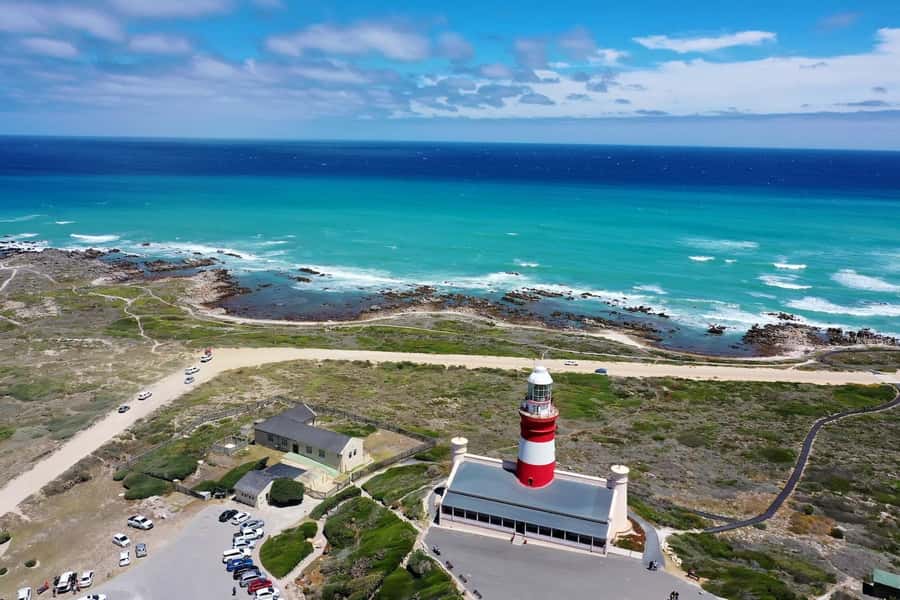 From Cape Town: Cape Agulhas, Penguins, Wine Tasting Tour - Hermanus: lunch, a seaside walk, and seasonal whales