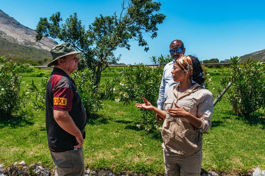 From Cape Town: Cape Peninsula & Boulders Penguin Beach Tour - Lunch in Simon’s Town and the Navy story