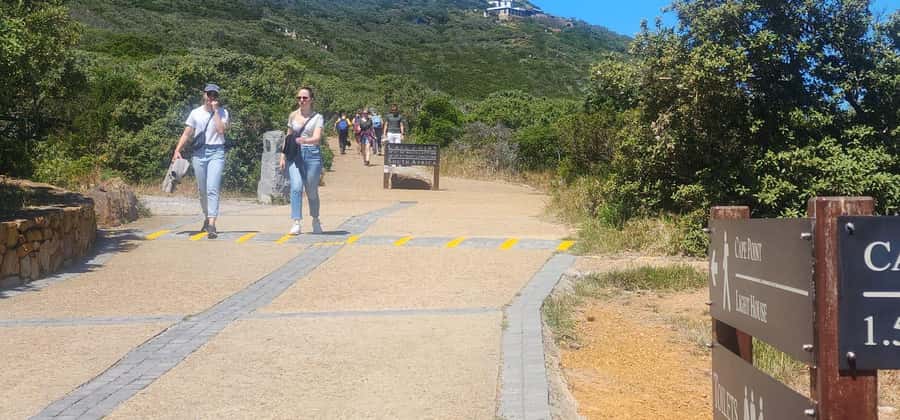 From Cape Town: Cape Peninsula Full-Day Private Tour - Chapmans Peak and Hout Bay: the scenic opening