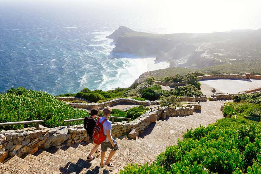 From Cape Town: Cape Point and Boulders Beach Full-Day Tour - Why this Cape Peninsula tour works