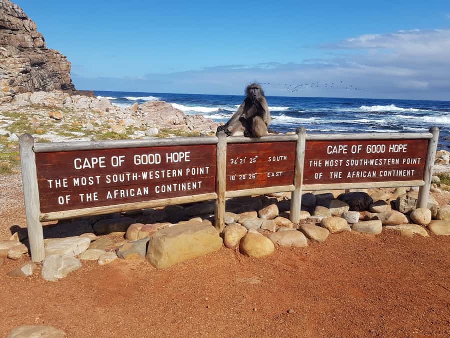 From Cape Town: Cape Point and Boulders Beach Full-Day Tour - Guides, crew, and the quality of the day