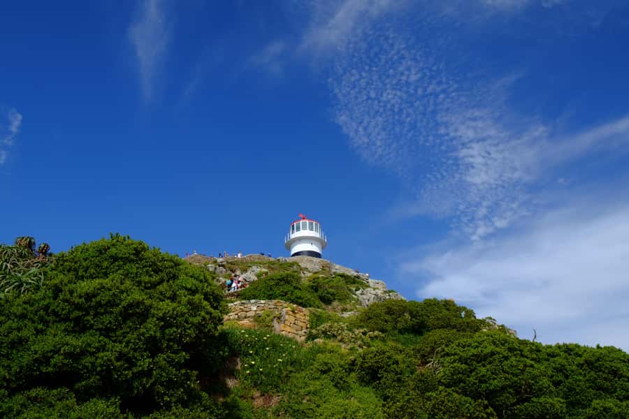 From Cape Town: Cape Point and Boulders Beach Half-Day Tour - Chapman’s Peak Drive is the scenic heart of the route