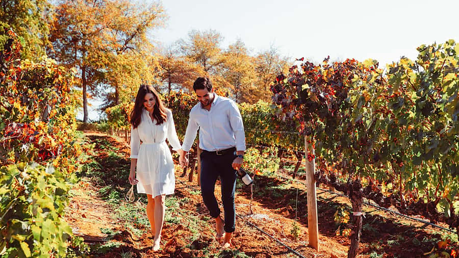 From Cape Town: Cape Winelands Full-Day Private Tour - Why this private wine day works well