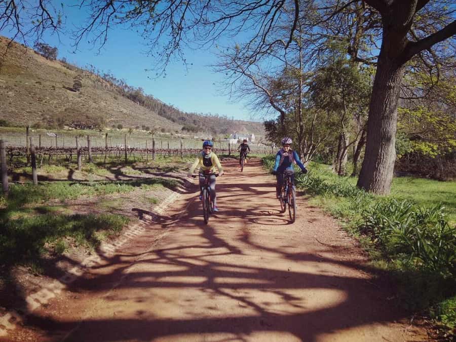 From Cape Town: Franschhoek Vineyards Bike Tour with Lunch - Why Franschhoek works so well by bicycle