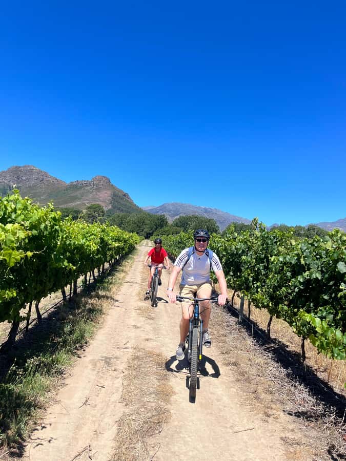 From Cape Town: Franschhoek Vineyards Bike Tour with Lunch - Riding the old Huguenot wine route