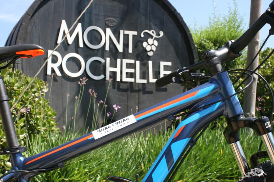 From Cape Town: Franschhoek Vineyards Bike Tour with Lunch - The first winery tasting
