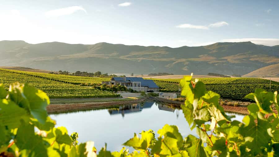 From Cape Town: Full-Day Cape Agulhas Private Tour - Lunch by the water, with one important booking question