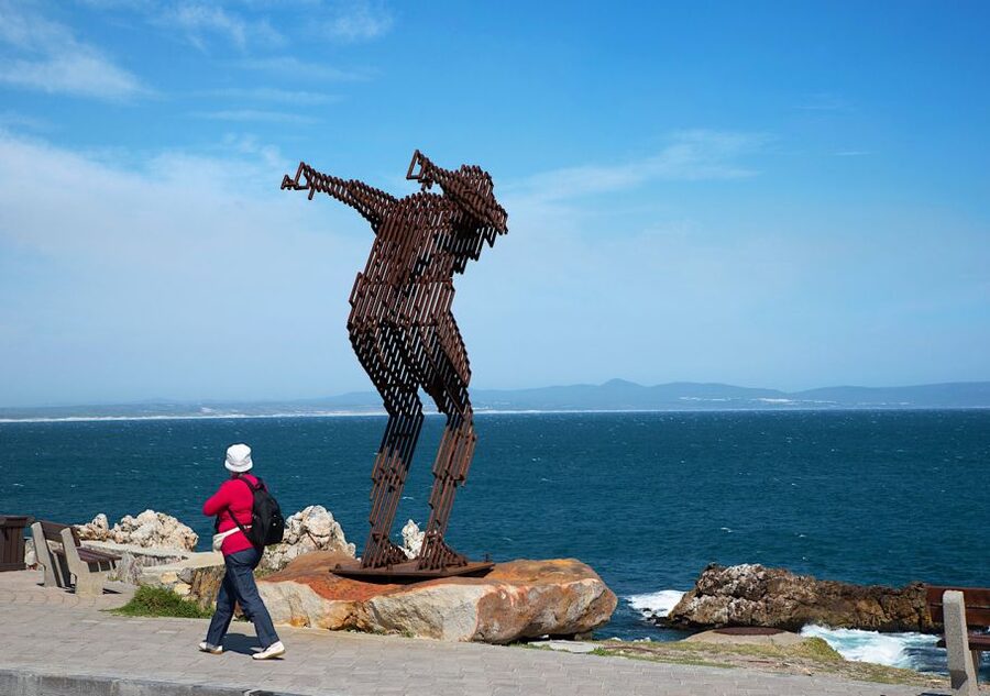 From Cape Town: Full-Day Cape Agulhas Private Tour - How the $196 price measures up