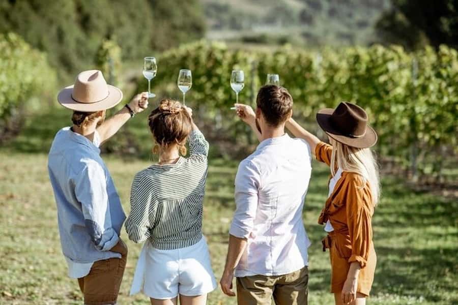 From Cape Town: Full-Day Cape Winelands Taste Tour + Tram - Key points at a glance