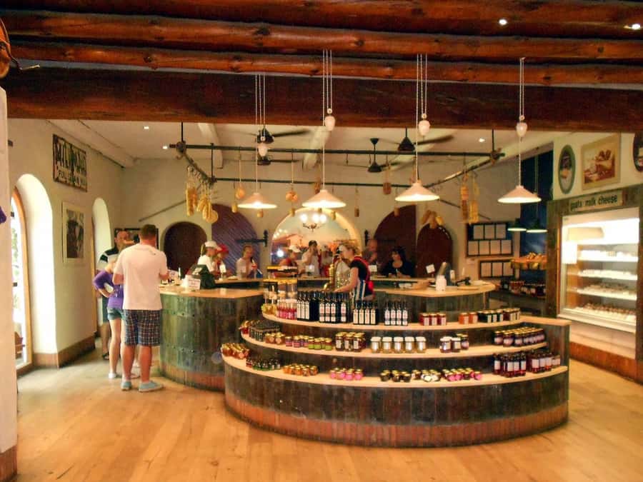 From Cape Town: Full-Day Cape Winelands Taste Tour + Tram - Why three wine regions make this a useful introduction
