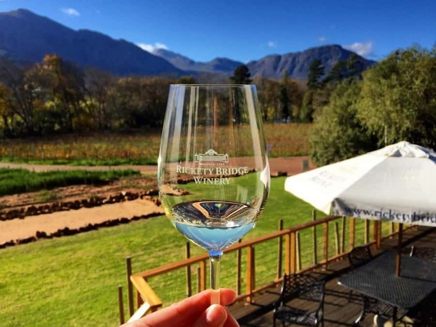 From Cape Town: Full-Day Cape Winelands Taste Tour + Tram - How much value do you get for $143?