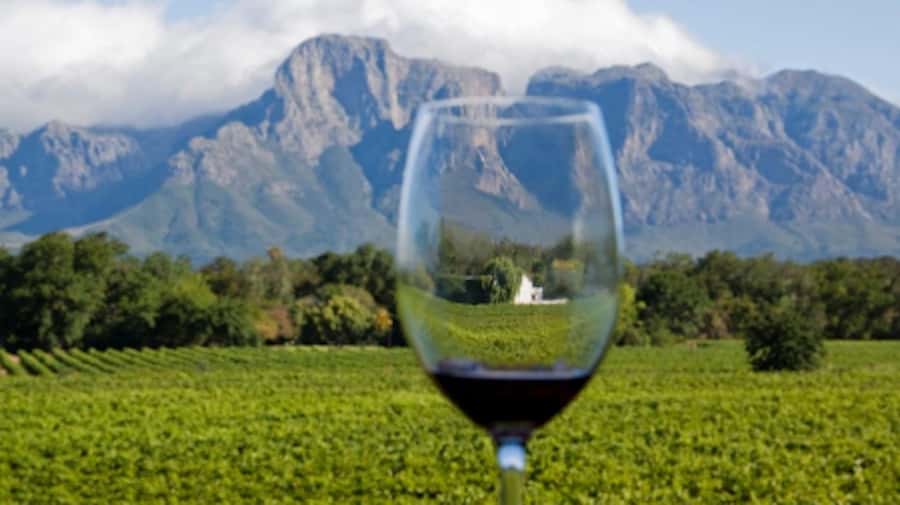 From Cape Town: Full-Day Cape Winelands Taste Tour + Tram - What the small group and changing itinerary mean