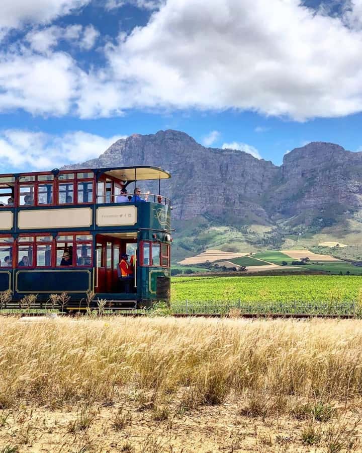 From Cape Town: Full-Day Cape Winelands Taste Tour + Tram - Who should book this Cape Winelands day tour?