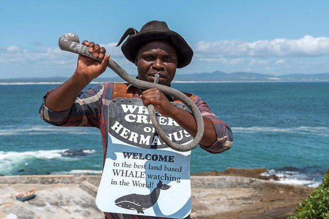 From Cape Town: Full Day Guided Hermanus and Whale Tour - The Road From Cape Town to Gordon’s Bay