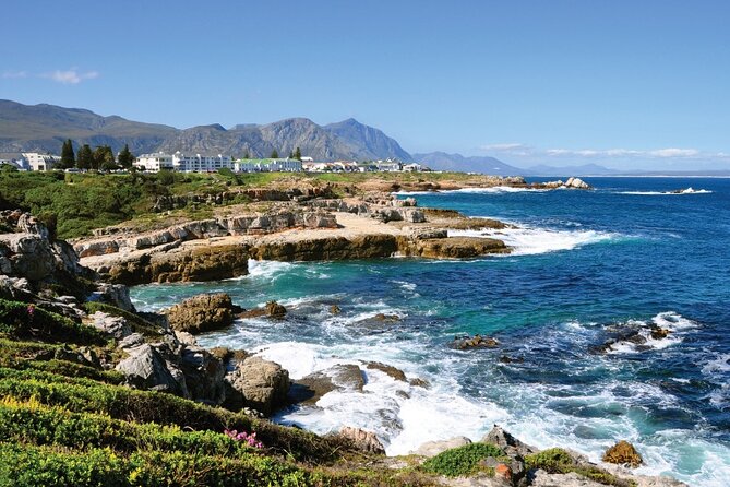 From Cape Town: Full Day Guided Hermanus and Whale Tour - Exploring Hermanus at Your Own Pace