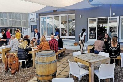 Full Day Guided Hermanus and Whale Tour