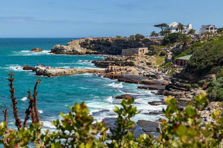 From Cape Town: Full-Day Hermanus Whale Watching Tour - The essential points before you book