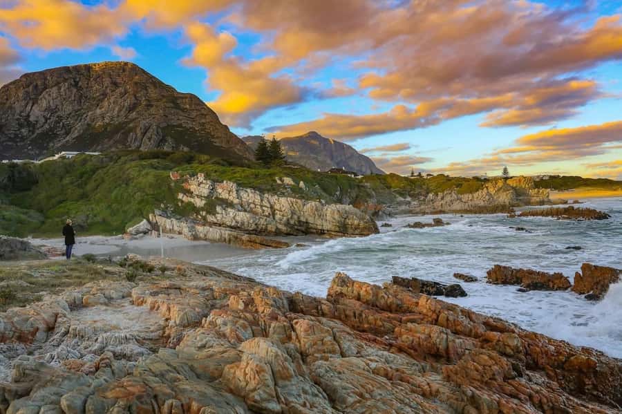 From Cape Town: Full-Day Hermanus Whale Watching Tour - Who should take this tour?