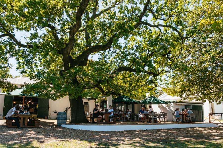 From Cape Town: Full Day Winelands Tour with wine tastings - Why this day works well from Cape Town