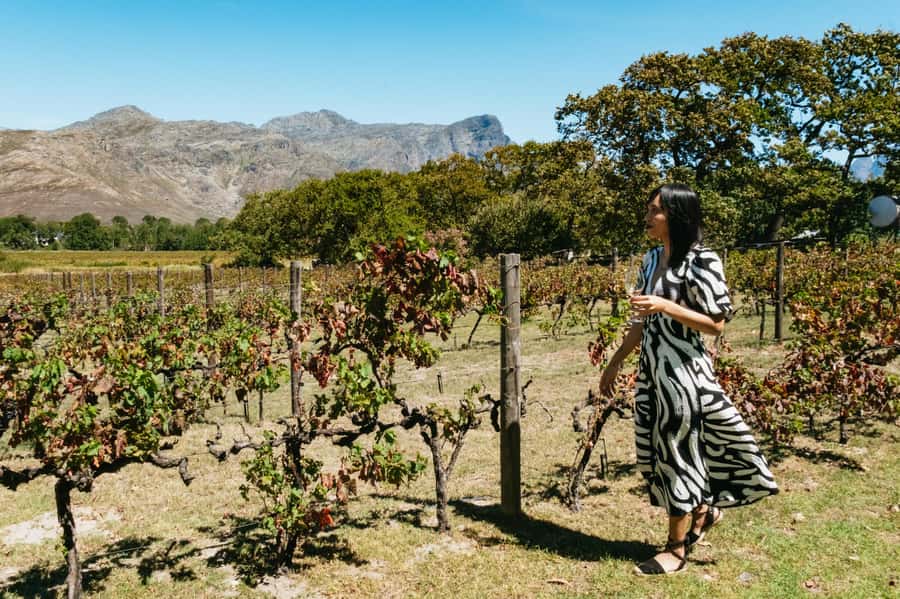 From Cape Town: Full Day Winelands Tour with wine tastings - Paarl, Mandela, and the first tasting
