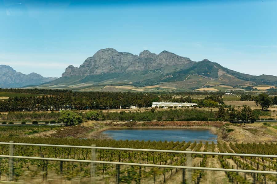 From Cape Town: Full Day Winelands Tour with wine tastings - What the guide adds