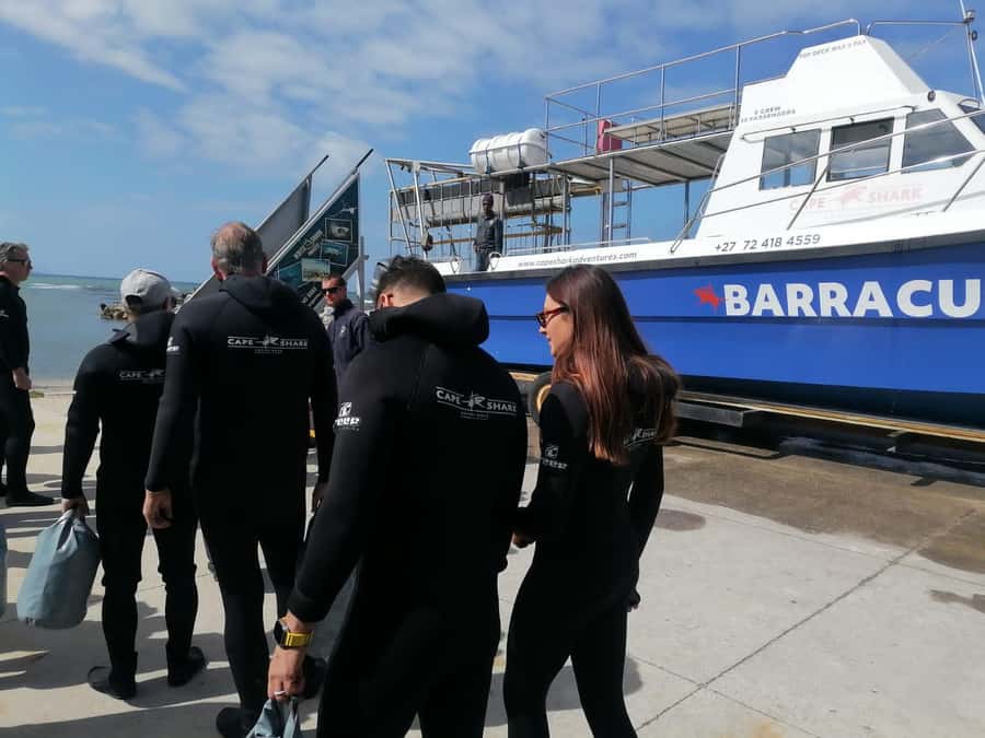 From Cape Town: Gans Bay Shark Cage Diving - The long road from Cape Town to Gansbaai