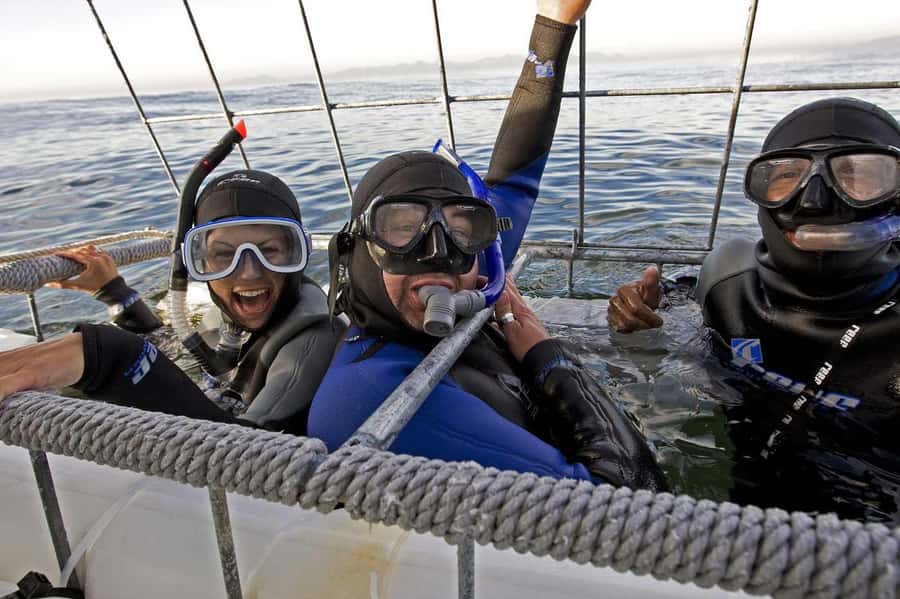 From Cape Town: Gans Bay Shark Cage Diving - Arrival, refreshments, and the safety briefing