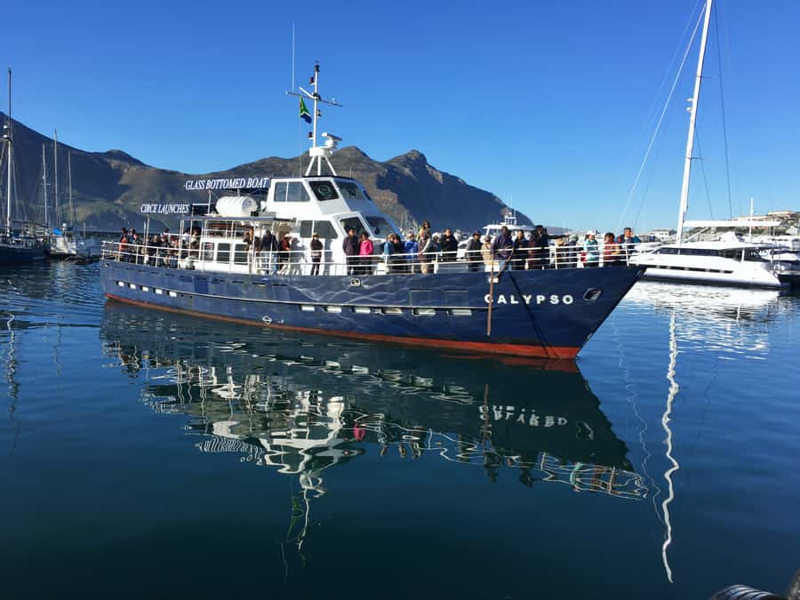 From Cape Town: Glass-Bottom Boat Seal Watching Tour - Key points at a glance