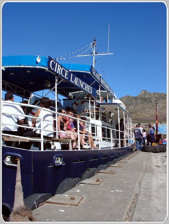 From Cape Town: Glass-Bottom Boat Seal Watching Tour - Who will enjoy this cruise most?