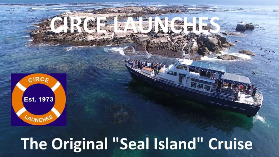 From Cape Town: Glass-Bottom Boat Seal Watching Tour - Should you book the Circe Launches seal cruise?