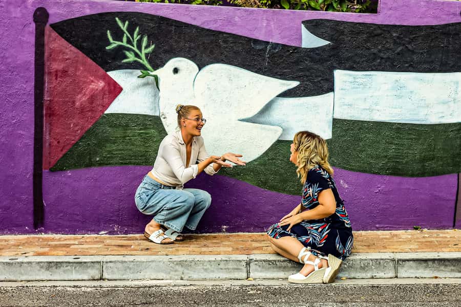 From Cape Town: Half-Day Boulders Beach and Penguins Tour - Guides, vehicles, and group size